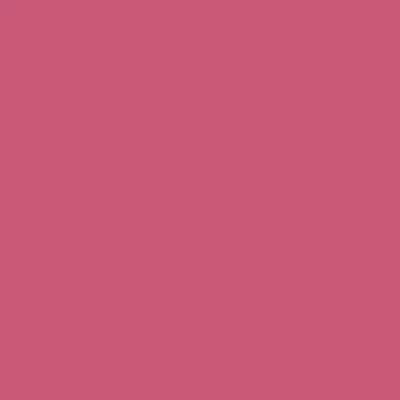 PURE BEAUTY LIPSTICK Rossetto