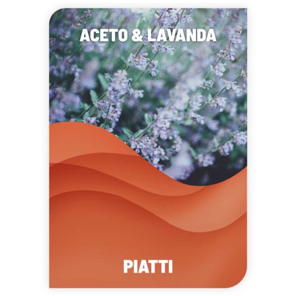 Lavapiatti Aceto e Lavanda 1L