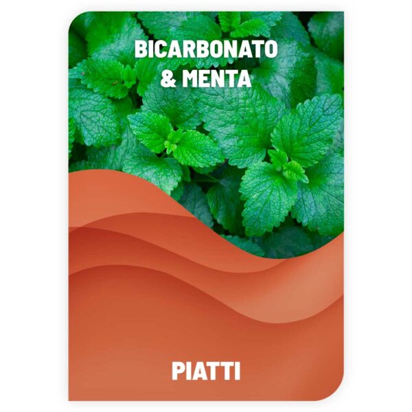 Lavapiatti Bicarbonato e Menta 1L
