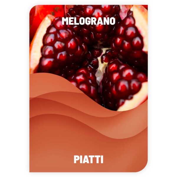 Lavapiatti Melograno 1L